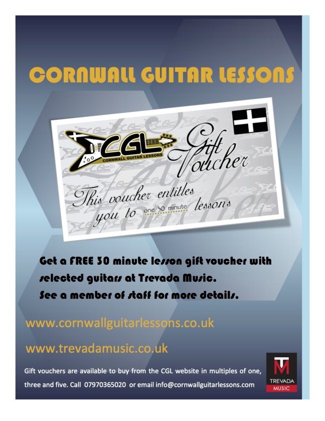 Free 30 minute Guitar Lesson at Trevada Music
